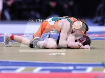 Thumbnail 3 in CHSAA State Championship - Girls' Finals photogallery.