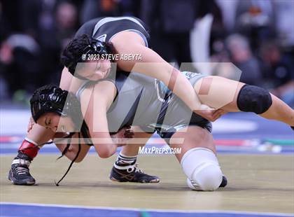 Thumbnail 2 in CHSAA State Championship - Girls' Finals photogallery.