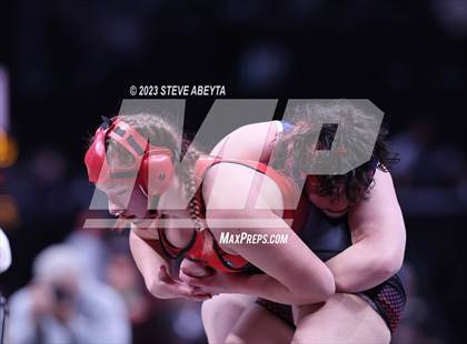 Thumbnail 3 in CHSAA State Championship - Girls' Finals photogallery.