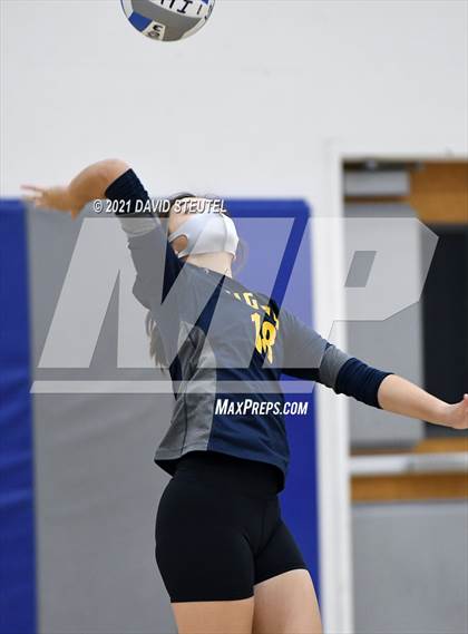 Thumbnail 2 in Antelope @ Inderkum photogallery.