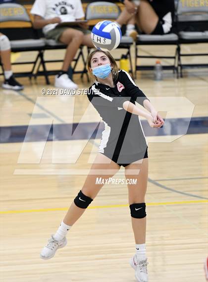 Thumbnail 2 in Antelope @ Inderkum photogallery.
