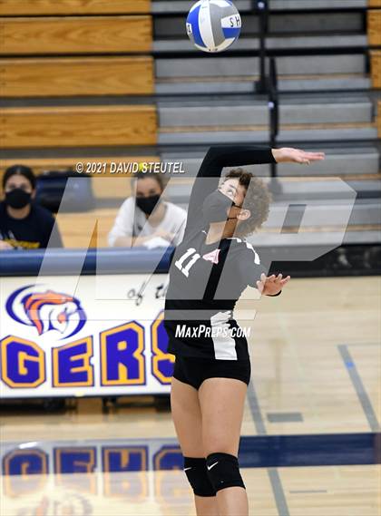 Thumbnail 1 in Antelope @ Inderkum photogallery.