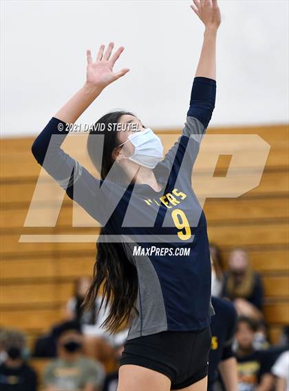 Thumbnail 3 in Antelope @ Inderkum photogallery.
