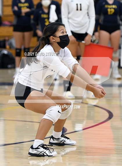 Thumbnail 2 in Antelope @ Inderkum photogallery.