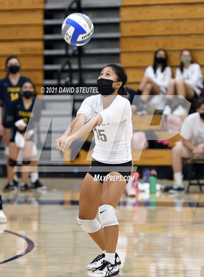Thumbnail 1 in Antelope @ Inderkum photogallery.