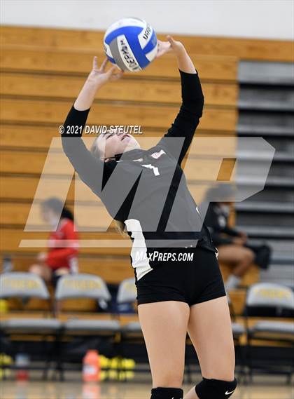 Thumbnail 1 in Antelope @ Inderkum photogallery.