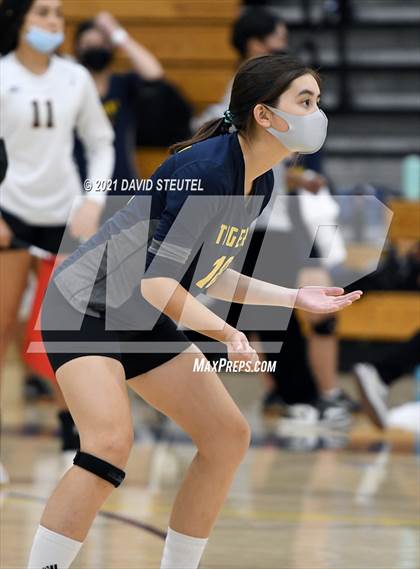 Thumbnail 1 in Antelope @ Inderkum photogallery.