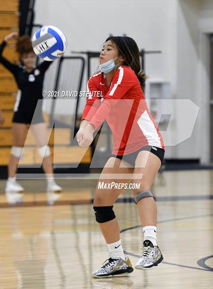 Thumbnail 1 in Antelope @ Inderkum photogallery.