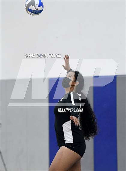 Thumbnail 3 in Antelope @ Inderkum photogallery.