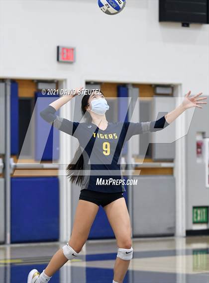 Thumbnail 1 in Antelope @ Inderkum photogallery.