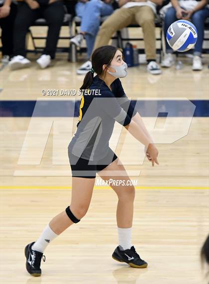 Thumbnail 2 in Antelope @ Inderkum photogallery.