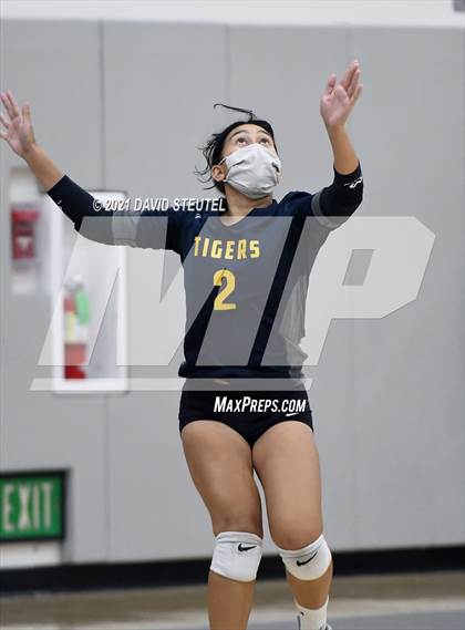 Thumbnail 2 in Antelope @ Inderkum photogallery.