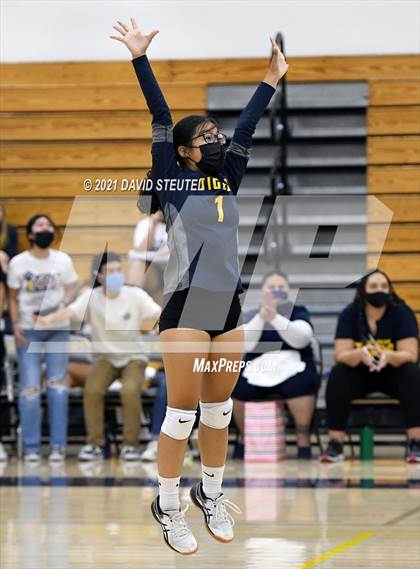 Thumbnail 1 in Antelope @ Inderkum photogallery.