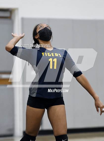 Thumbnail 1 in Antelope @ Inderkum photogallery.