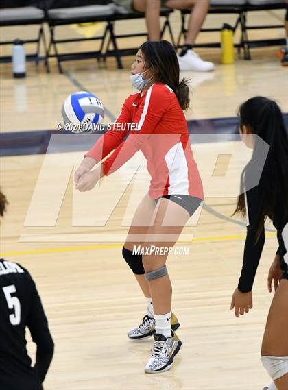 Thumbnail 2 in Antelope @ Inderkum photogallery.