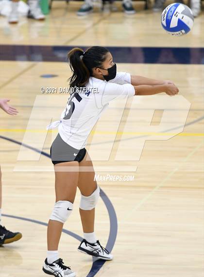 Thumbnail 1 in Antelope @ Inderkum photogallery.