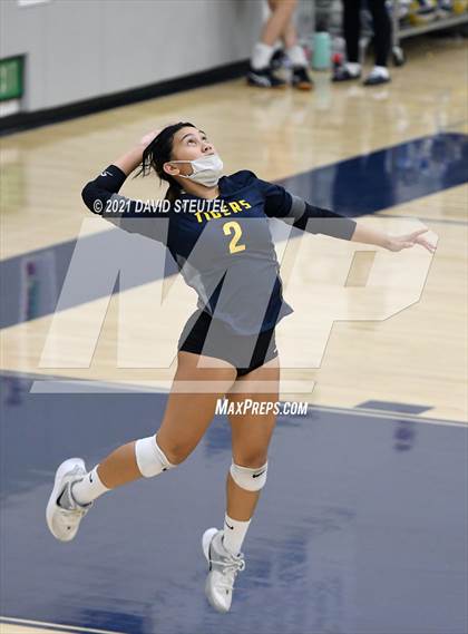 Thumbnail 3 in Antelope @ Inderkum photogallery.