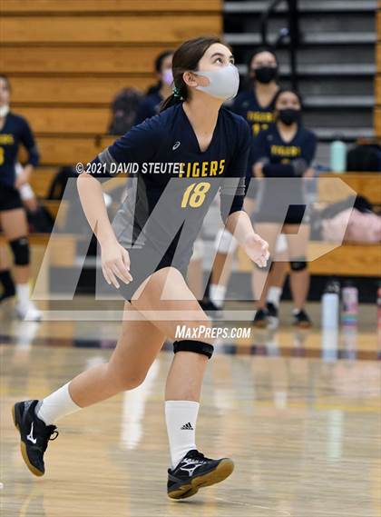 Thumbnail 1 in Antelope @ Inderkum photogallery.