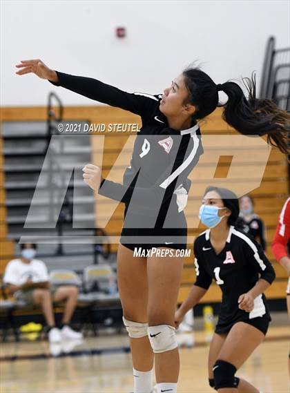 Thumbnail 3 in Antelope @ Inderkum photogallery.