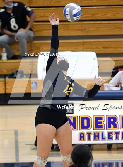 Thumbnail 3 in Antelope @ Inderkum photogallery.
