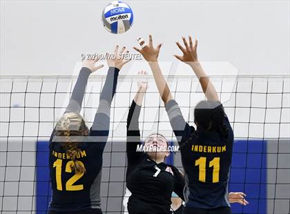 Thumbnail 3 in Antelope @ Inderkum photogallery.