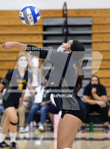 Thumbnail 3 in Antelope @ Inderkum photogallery.