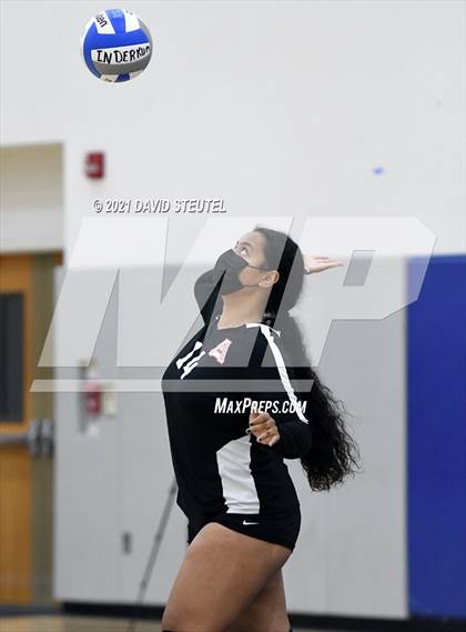 Thumbnail 1 in Antelope @ Inderkum photogallery.