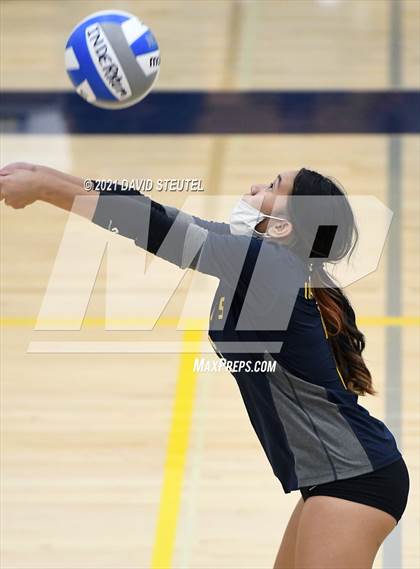 Thumbnail 2 in Antelope @ Inderkum photogallery.