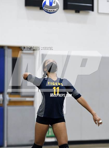Thumbnail 1 in Antelope @ Inderkum photogallery.