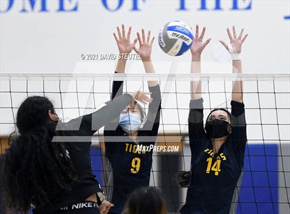 Thumbnail 2 in Antelope @ Inderkum photogallery.