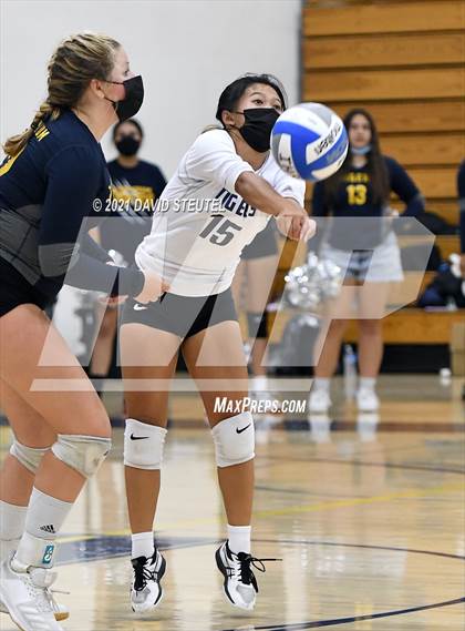Thumbnail 2 in Antelope @ Inderkum photogallery.
