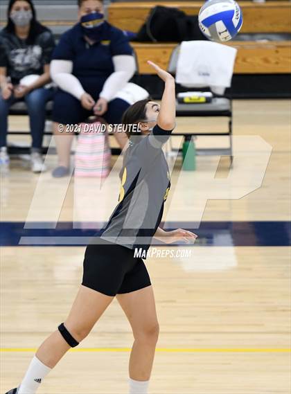 Thumbnail 1 in Antelope @ Inderkum photogallery.