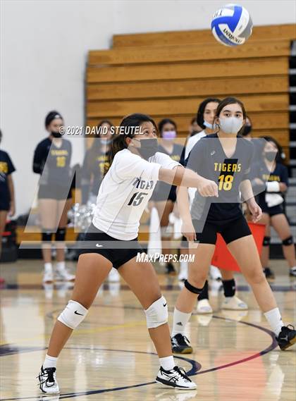 Thumbnail 3 in Antelope @ Inderkum photogallery.