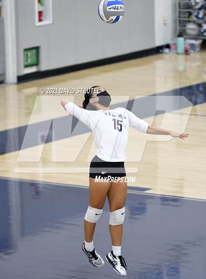 Thumbnail 2 in Antelope @ Inderkum photogallery.