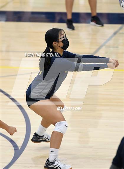 Thumbnail 1 in Antelope @ Inderkum photogallery.