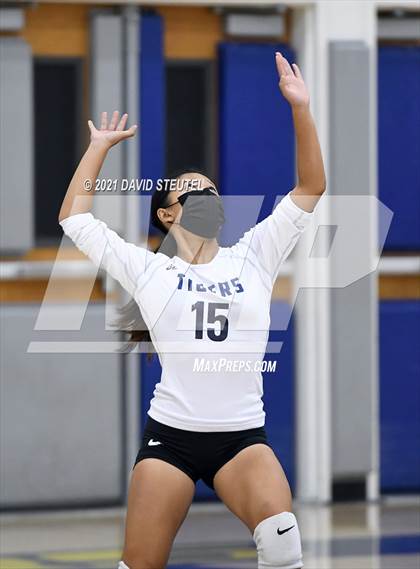 Thumbnail 3 in Antelope @ Inderkum photogallery.