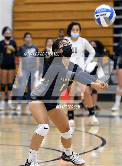 Thumbnail 2 in Antelope @ Inderkum photogallery.