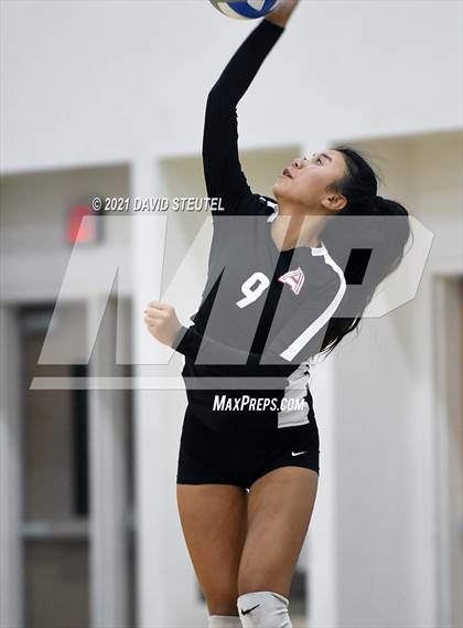 Thumbnail 2 in Antelope @ Inderkum photogallery.