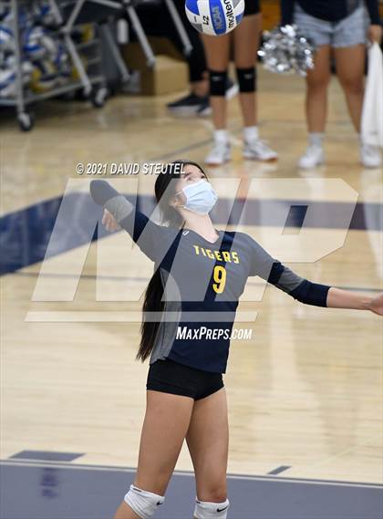 Thumbnail 3 in Antelope @ Inderkum photogallery.