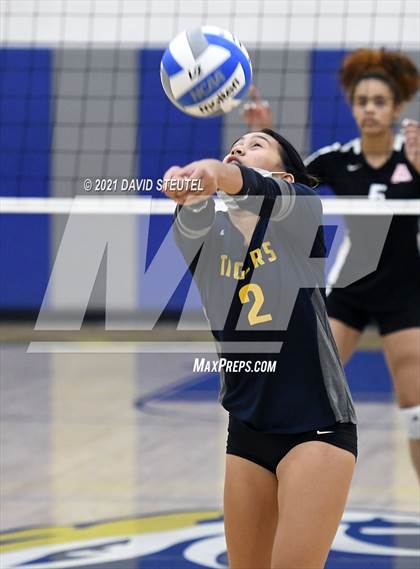 Thumbnail 1 in Antelope @ Inderkum photogallery.