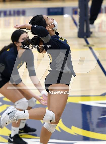 Thumbnail 2 in Antelope @ Inderkum photogallery.
