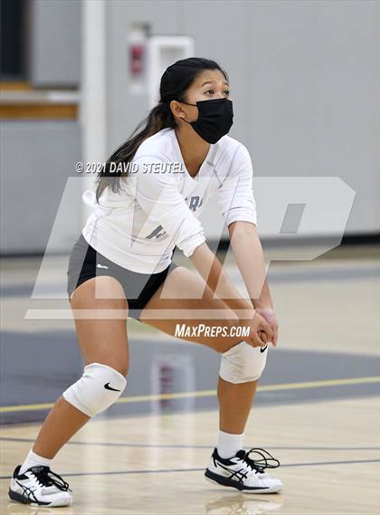 Thumbnail 1 in Antelope @ Inderkum photogallery.