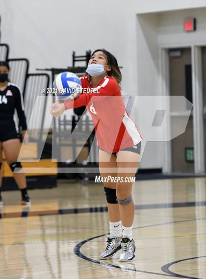 Thumbnail 2 in Antelope @ Inderkum photogallery.