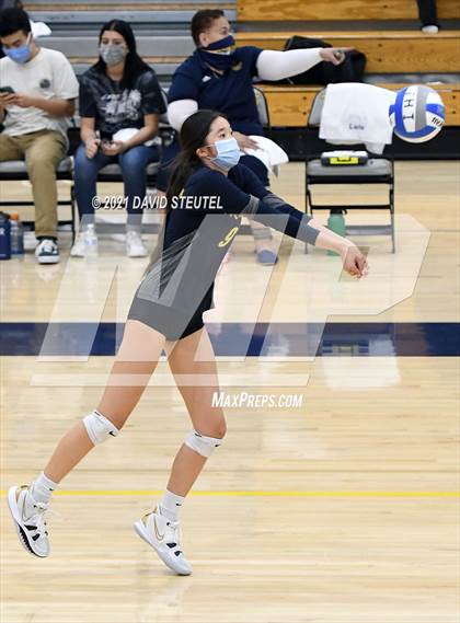 Thumbnail 3 in Antelope @ Inderkum photogallery.