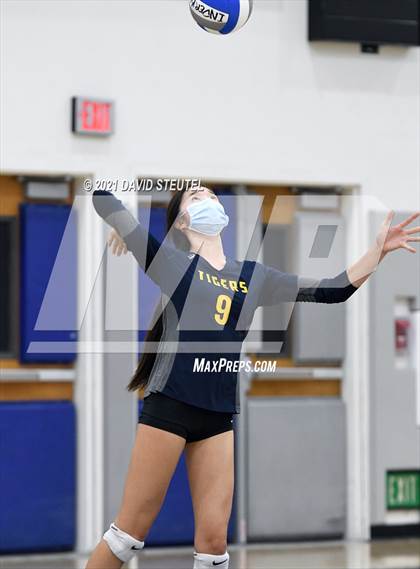 Thumbnail 3 in Antelope @ Inderkum photogallery.