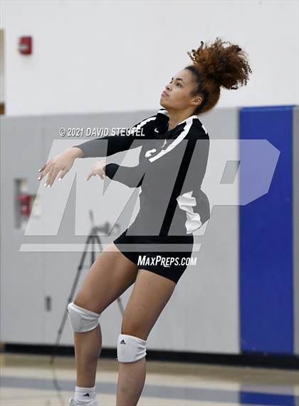 Thumbnail 3 in Antelope @ Inderkum photogallery.