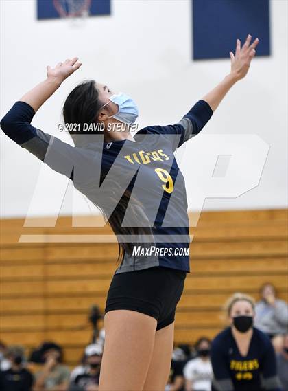 Thumbnail 3 in Antelope @ Inderkum photogallery.