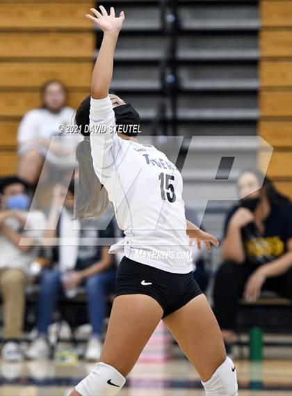 Thumbnail 2 in Antelope @ Inderkum photogallery.