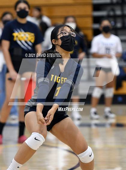 Thumbnail 2 in Antelope @ Inderkum photogallery.