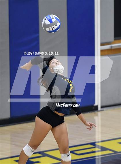 Thumbnail 1 in Antelope @ Inderkum photogallery.